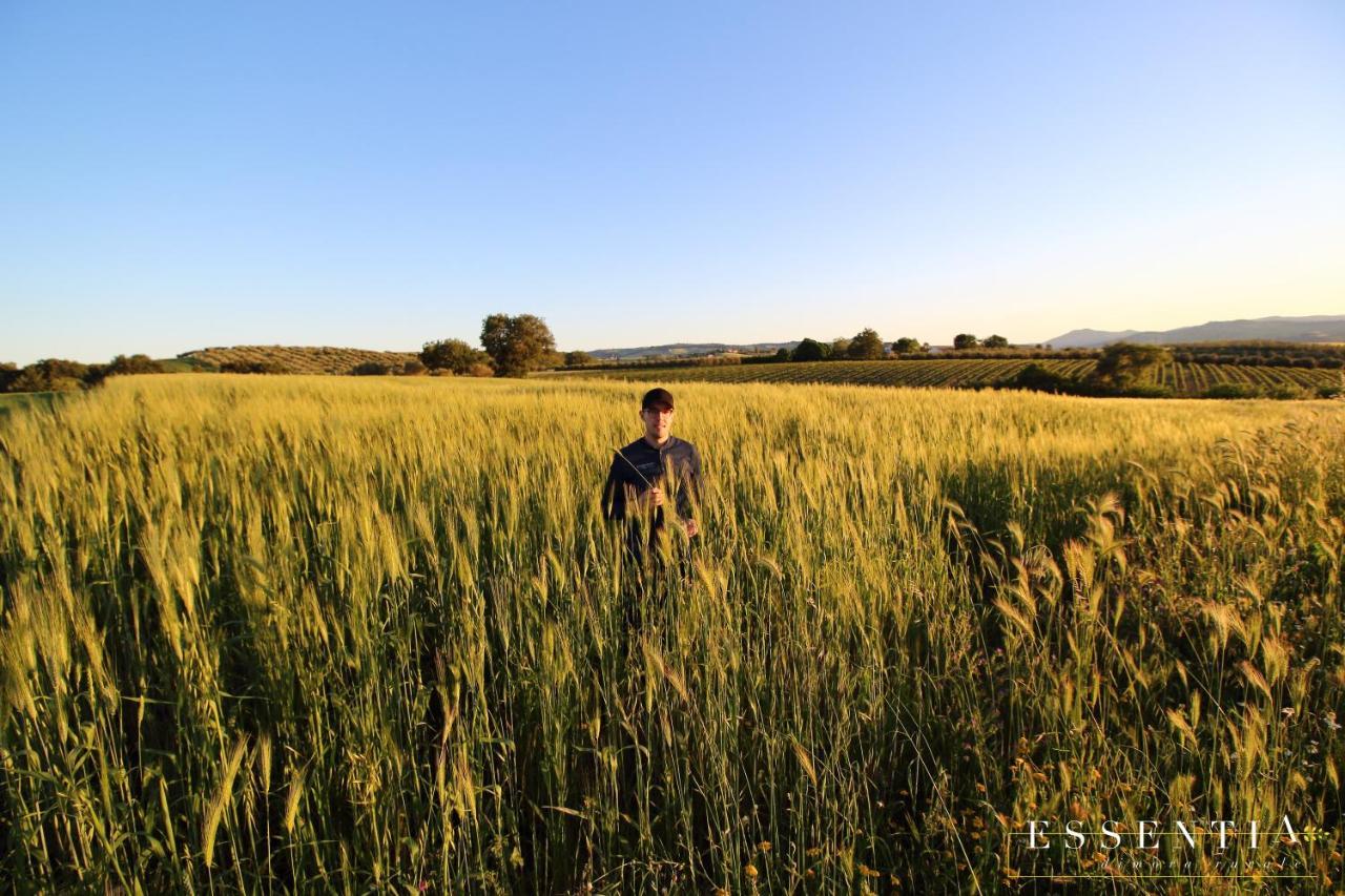 Agriturismo Essentia Dimora Rurale Larino Экстерьер фото