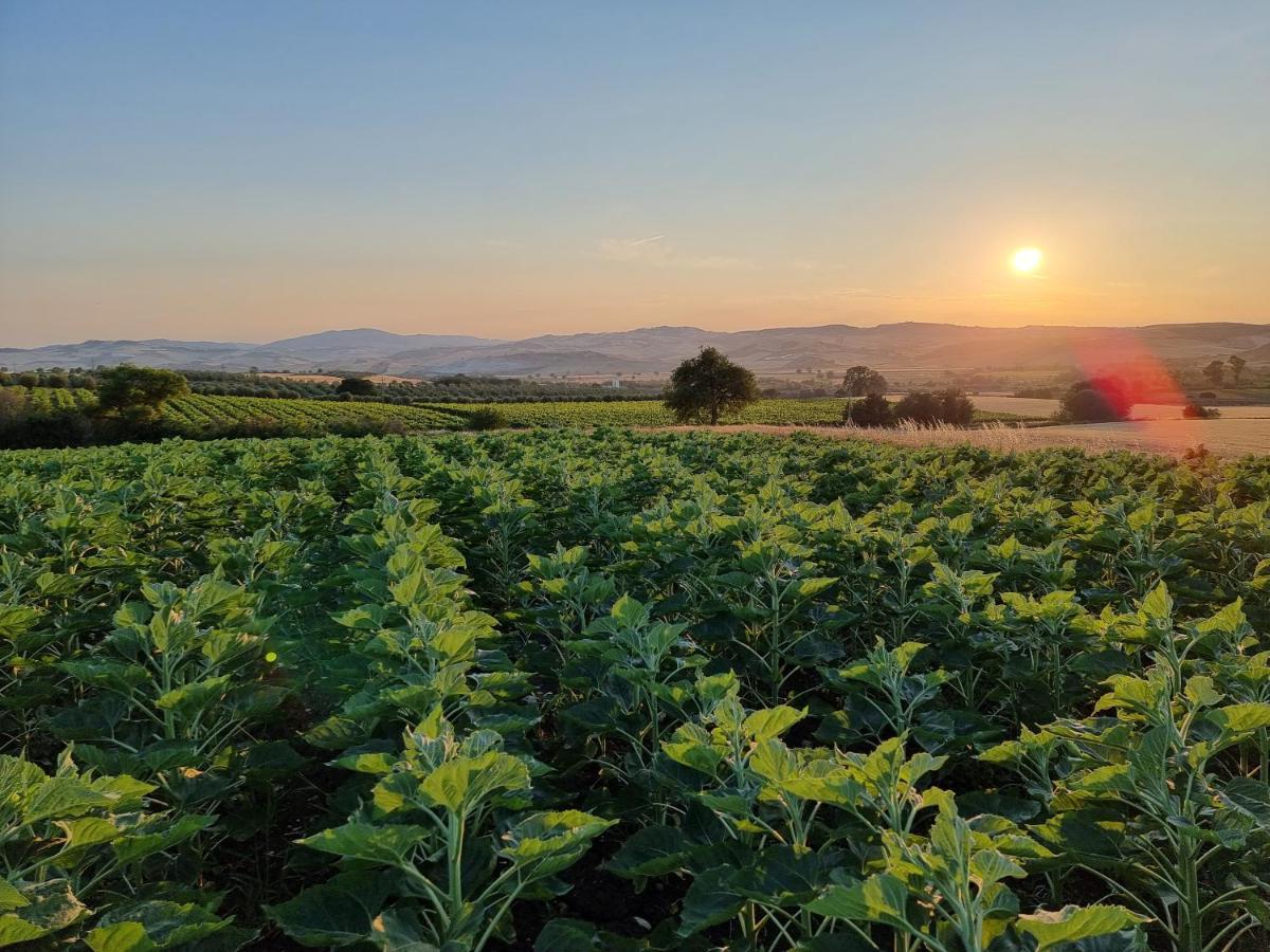 Agriturismo Essentia Dimora Rurale Larino Экстерьер фото