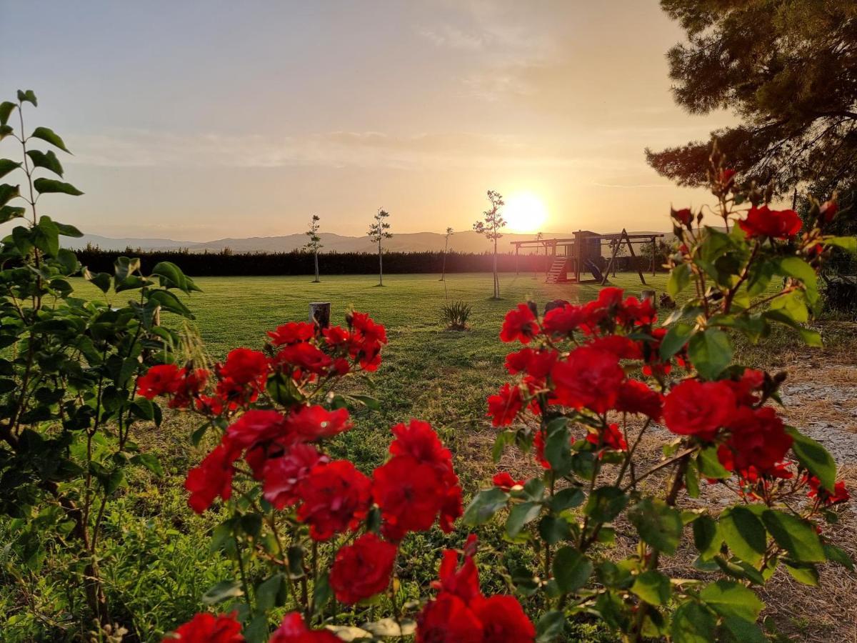 Agriturismo Essentia Dimora Rurale Larino Экстерьер фото