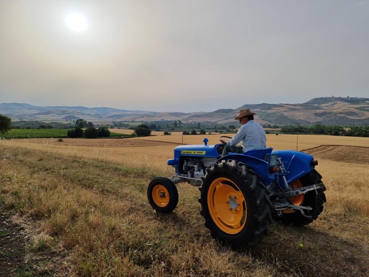 Agriturismo Essentia Dimora Rurale Larino Экстерьер фото