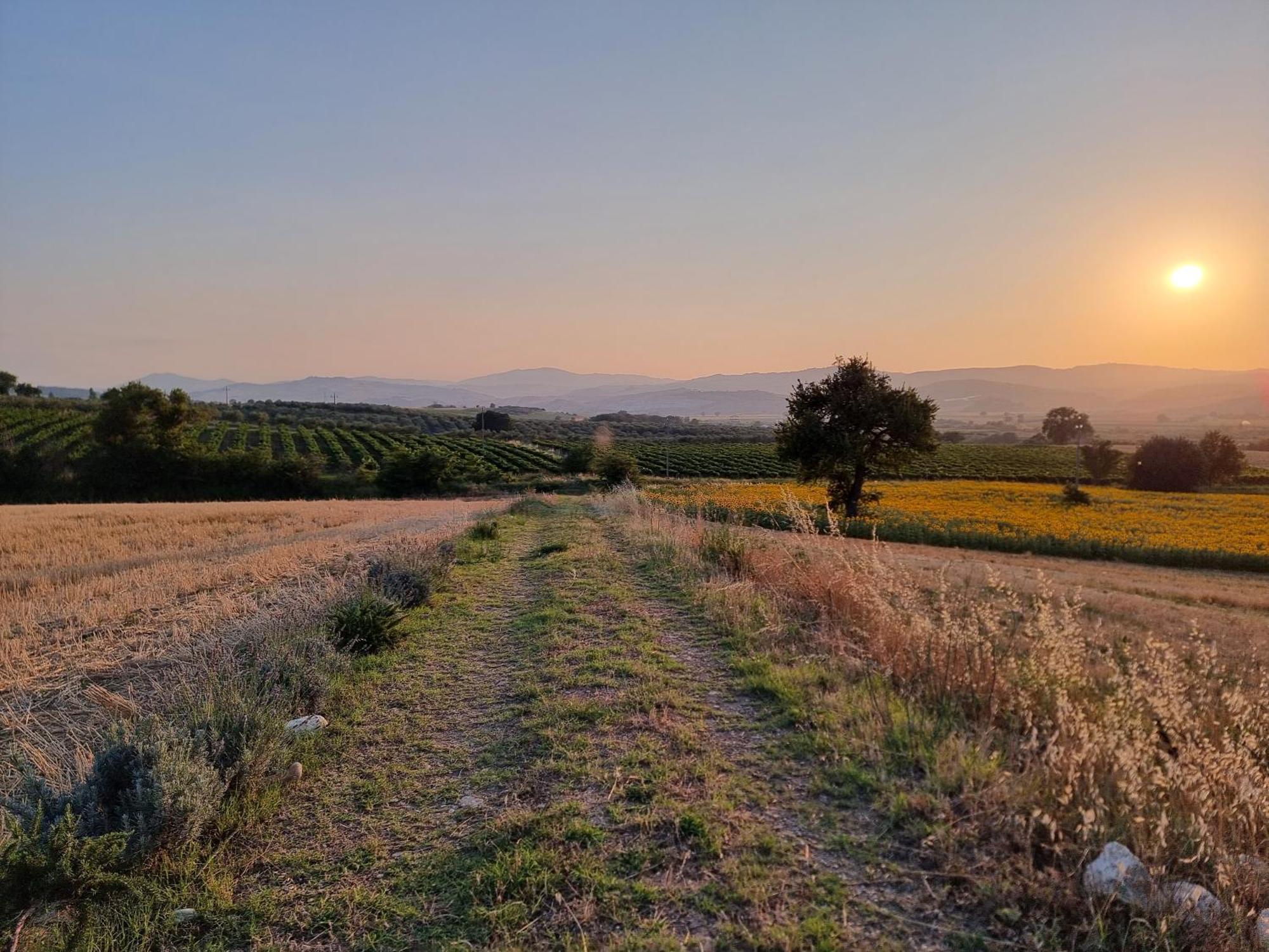 Agriturismo Essentia Dimora Rurale Larino Экстерьер фото
