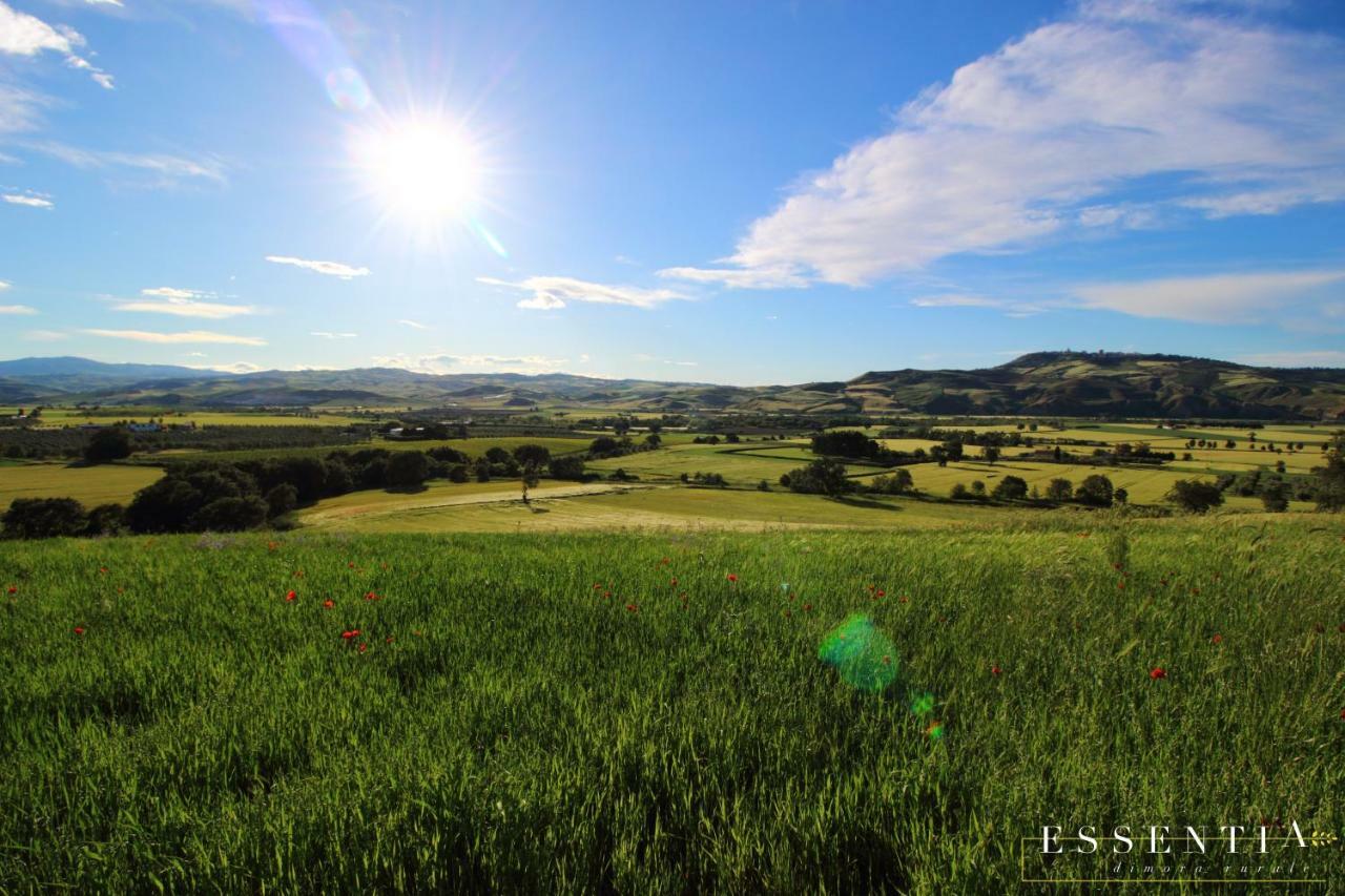 Agriturismo Essentia Dimora Rurale Larino Экстерьер фото